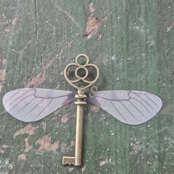 Flying Keys - Picture 4 of 5